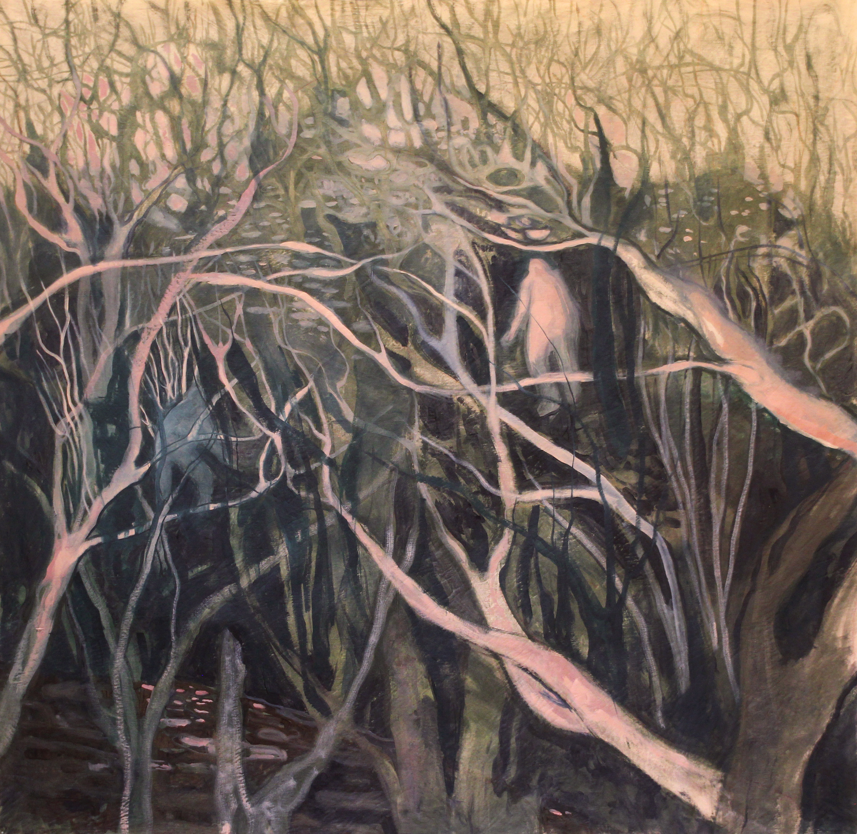 Woods
