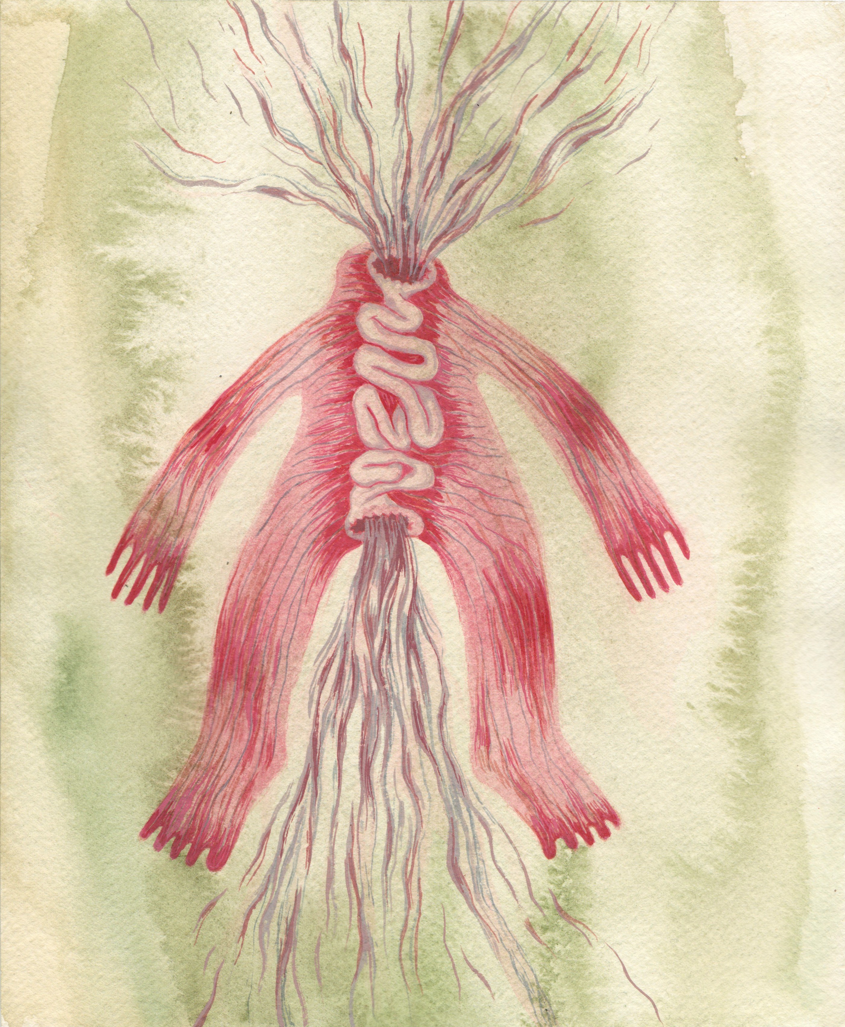 Digestion