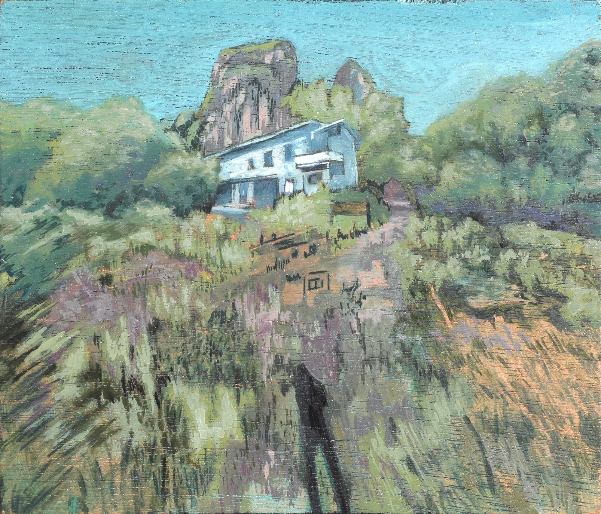 Google Maps Landscape II.