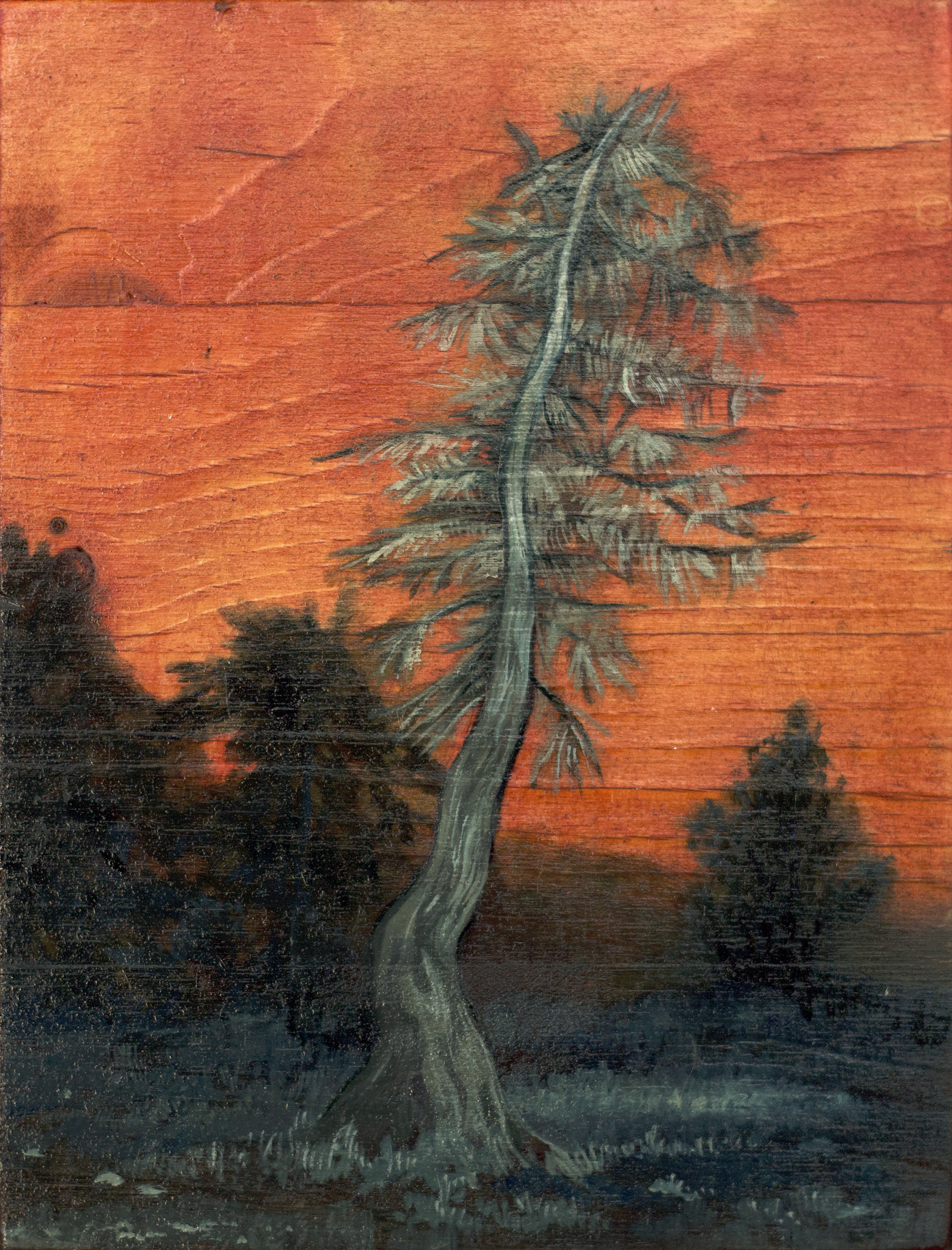Tree I.