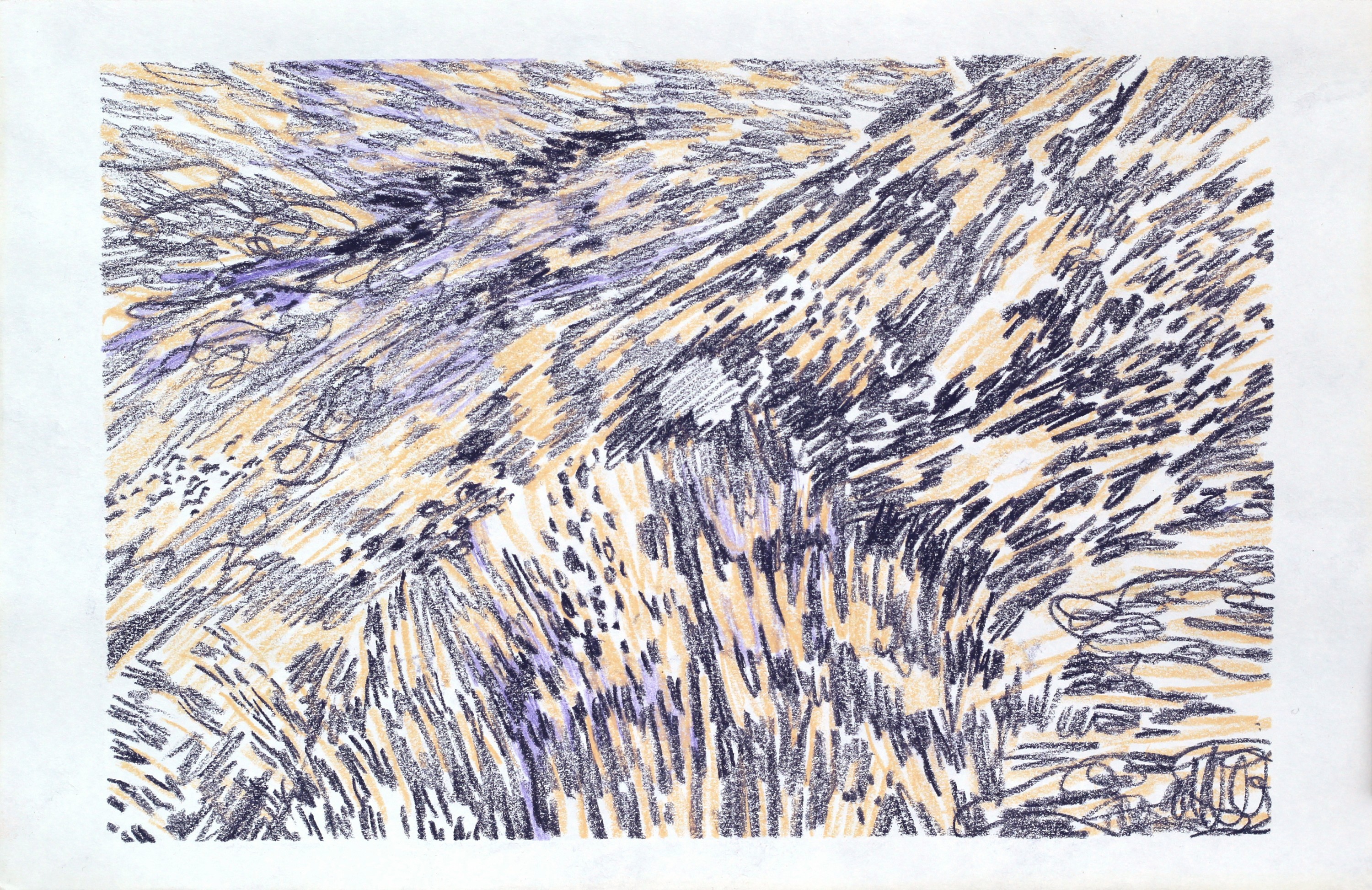 Landscape Draft VI.