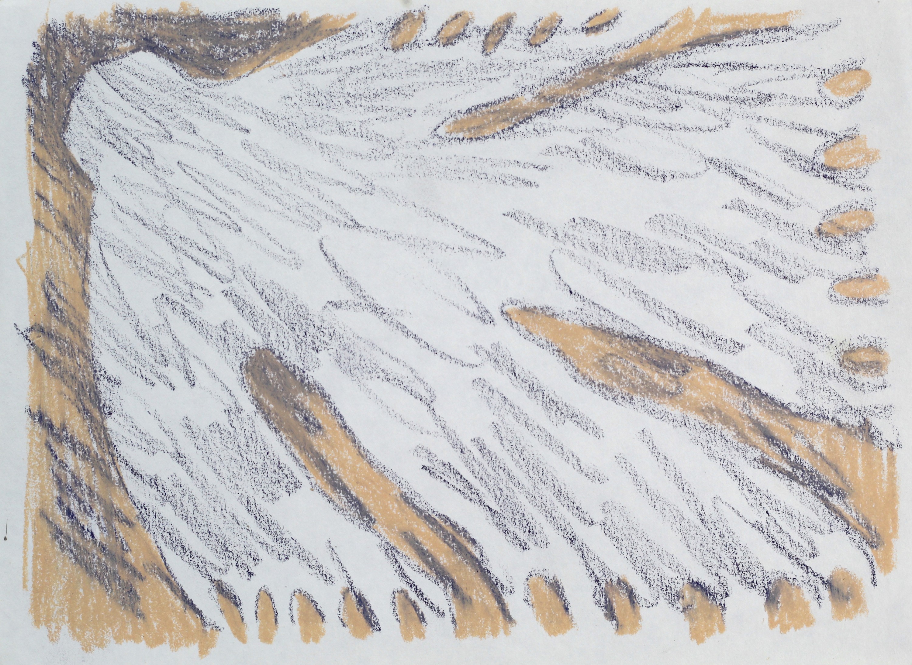 Landscape Draft X.