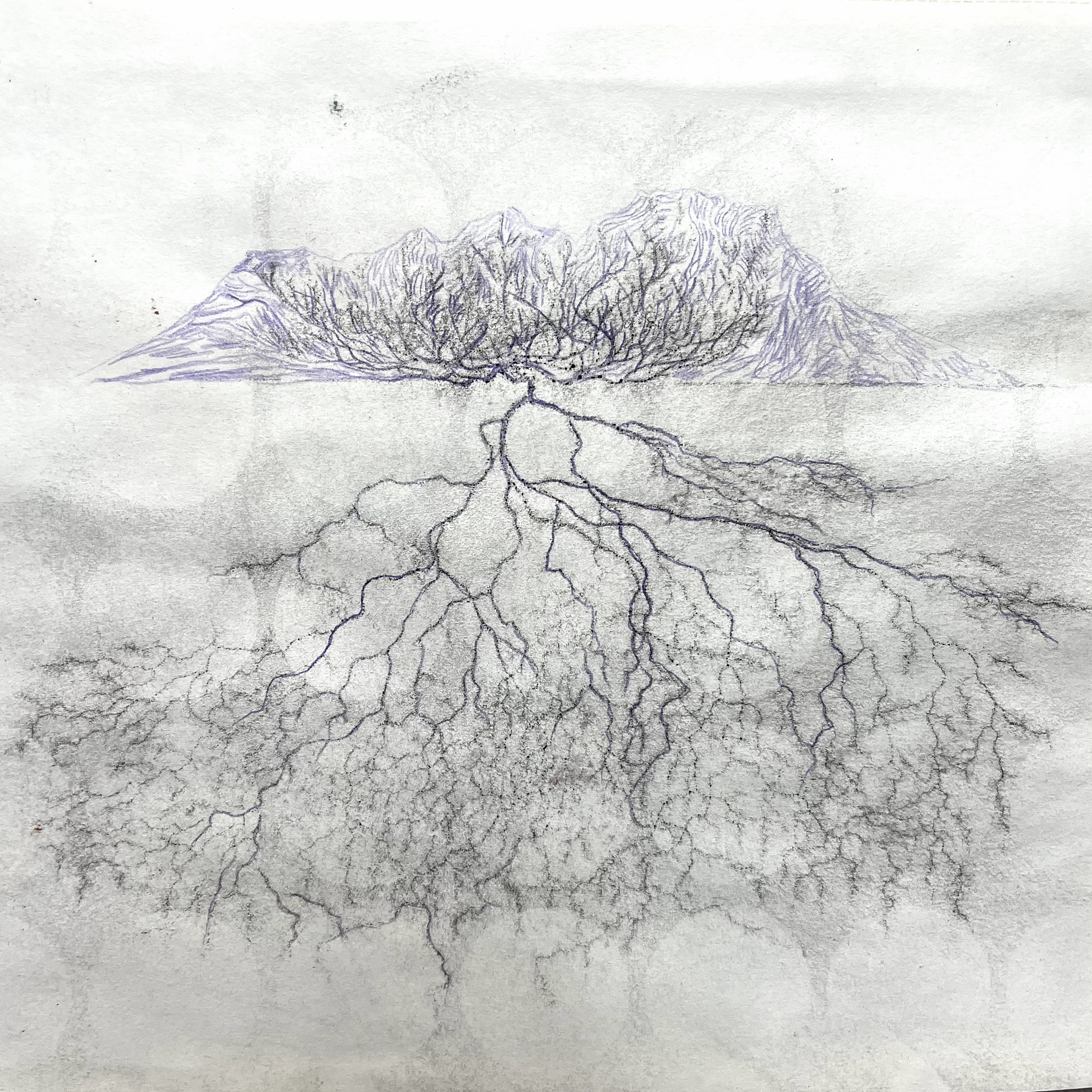 Landscape Draft I.