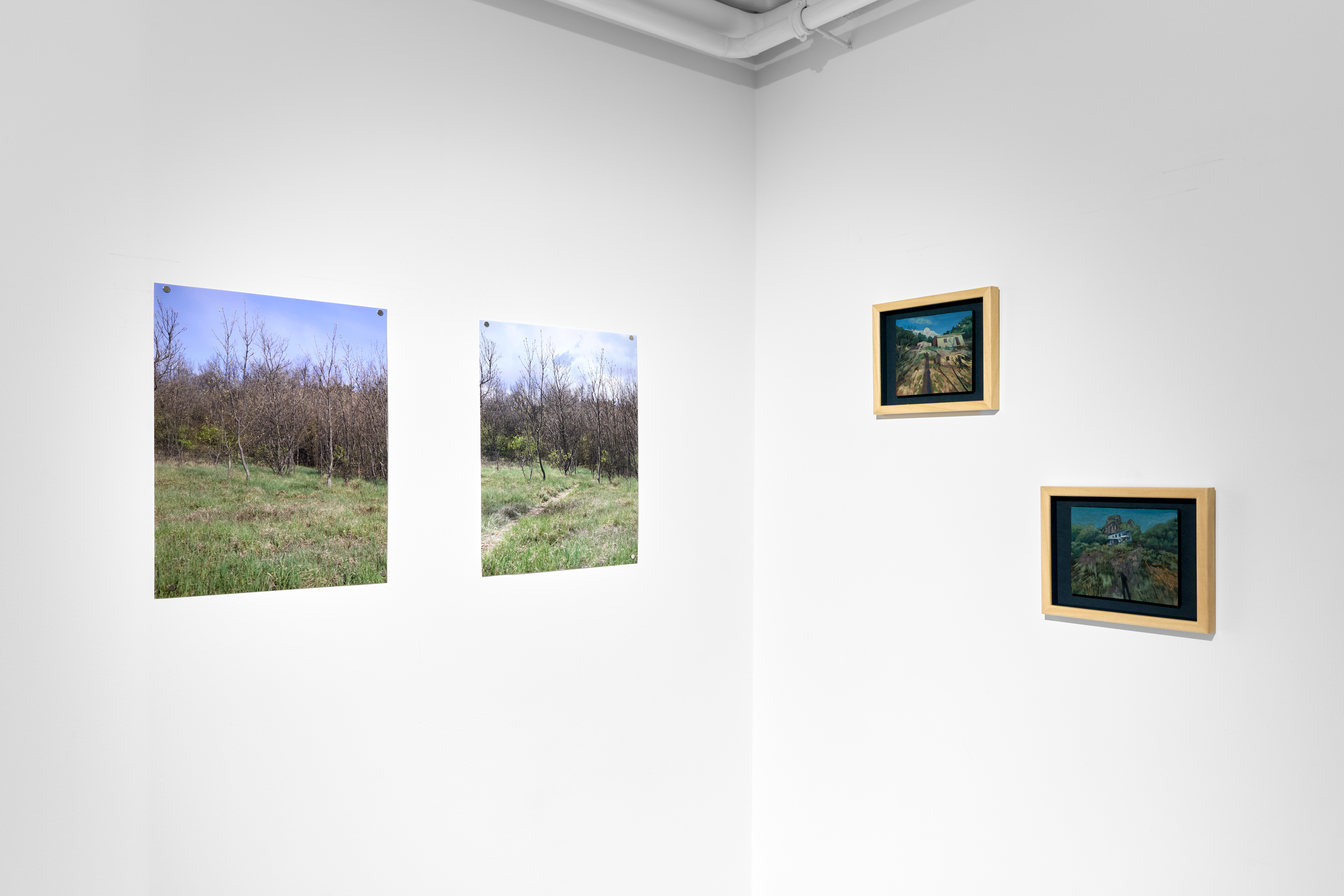Installation view